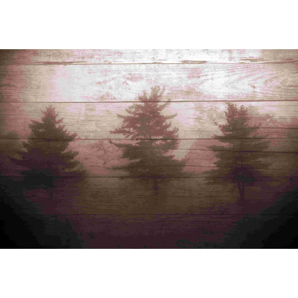 Millwood Pines Three Trees Wrapped Canvas Graphic Art Wayfair
